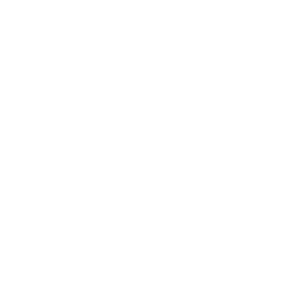 WordPress logo